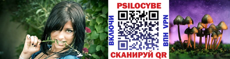 Псилоцибиновые грибы мицелий Мурино