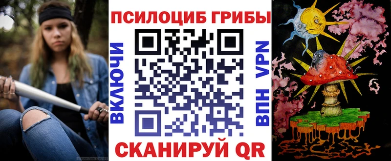 как найти   Мурино  Псилоцибиновые грибы Magic Shrooms 